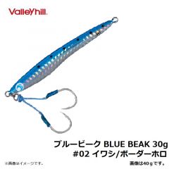 バレーヒル　ブルービーク BLUE BEAK 30g　#02 イワシ/ボーダーホロ