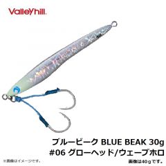 バレーヒル　ブルービーク BLUE BEAK 30g　#06 グローヘッド/ウェーブホロ