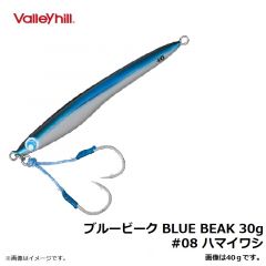 バレーヒル　ブルービーク BLUE BEAK 30g　#08 ハマイワシ