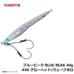 バレーヒル　ブルービーク BLUE BEAK 40g　#06 グローヘッド/ウェーブホロダーホロ