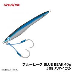 バレーヒル　ブルービーク BLUE BEAK 40g　#08 ハマイワシ