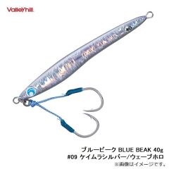 バレーヒル　ブルービーク BLUE BEAK 40g #09 ケイムラシルバー/ウェーブホロ