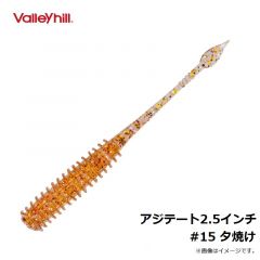 バレーヒル　アジテート2.5インチ　#15 夕焼け
