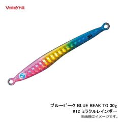 バレーヒル　ブルービーク BLUE BEAK TG 30g #12 ミラクルレインボー