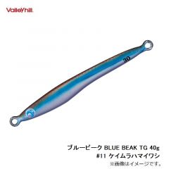 バレーヒル　ブルービーク BLUE BEAK TG 40g #11 ケイムラハマイワシ