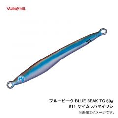 バレーヒル　ブルービーク BLUE BEAK TG 60g #11 ケイムラハマイワシ