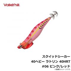 バレーヒル　スクイッドシーカー 40ヘビー ラトリン 40HRT #06 ピンク/レッド