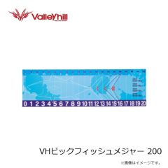 バレーヒル　VHビックフィッシュメジャー 200