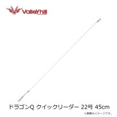 バレーヒル　DKDR2.5 大剣ドロッパー 2.5号 SPR#03 ギラギラ ナスビ