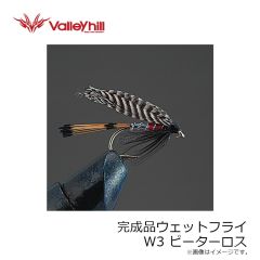 バレーヒル　完成品ドライフライ D2 CDCソラックスダン BR