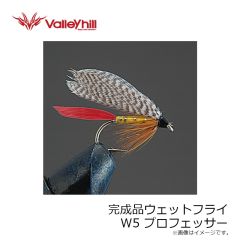 バレーヒル　完成品ドライフライ D2 CDCソラックスダン BR