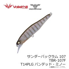 ウィップラッシュ　TBR-107F T14PLG バンデッド・ミノー