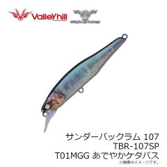 ウィップラッシュ　TBR-107SP T01MGG あでやかケタバス