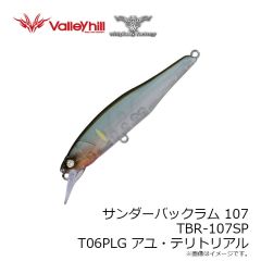 ウィップラッシュ　TBR-107SP T06PLG アユ・テリトリアル