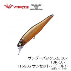 ウィップラッシュ　TBR-107F T16GLG サンセット・ゴールド