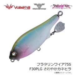 ウィップラッシュ　フラタリンワイア75S F30PLG さわやかカネヒラ