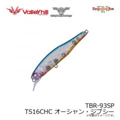 ウィップラッシュ　TBR-93SP TS16CHC オーシャン・ジプシー