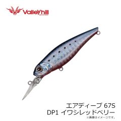 バレーヒル　エアディープ67S DP1 イワシレッドベリー