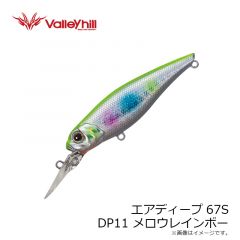 バレーヒル　エアディープ67S DP1 イワシレッドベリー
