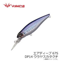 バレーヒル　エアディープ67S DP1 イワシレッドベリー