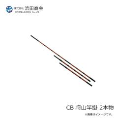 パームス TDX-30 ザ・ダックス 30g RZ-754 クリスタルシェイド