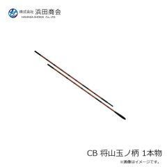 パームス TDX-30 ザ・ダックス 30g RZ-754 クリスタルシェイド