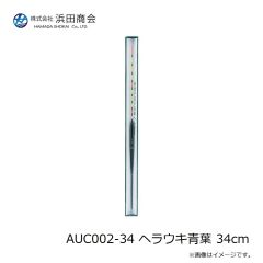 浜田商会　AUC002-34 ヘラウキ青葉 34cm