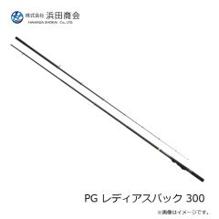 浜田商会　PG レディアスパック 300