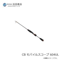 ライズジャパン ライズジグ SLJ スリム 100g #RJ22 グローレッド