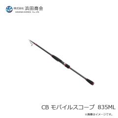 ライズジャパン ライズジグ SLJ スリム 100g #RJ22 グローレッド