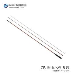 パームス TDX-30 ザ・ダックス 30g RZ-754 クリスタルシェイド
