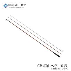 パームス TDX-30 ザ・ダックス 30g RZ-754 クリスタルシェイド