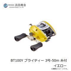 浜田商会 PG マルチサーフ 270 