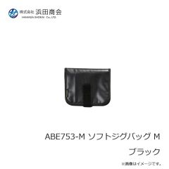 浜田商会　ABG003-10 レジャークールバッグ 10L シルバー