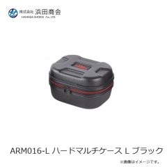 ラインシステム L4120F ロックゲーム FC 2lb