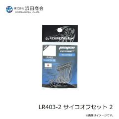 ラインシステム L4120F ロックゲーム FC 2lb