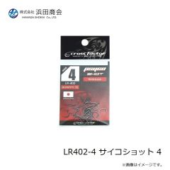 ラインシステム L4120F ロックゲーム FC 2lb