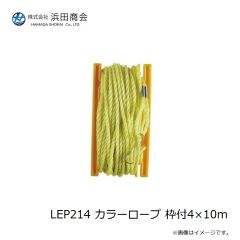 浜田商会　LEP214 カラーロープ 枠付4×10m