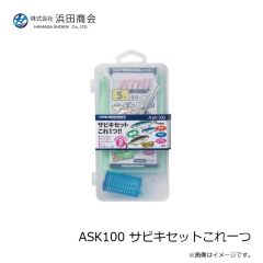 浜田商会　ASK100 サビキセットこれ一つ
