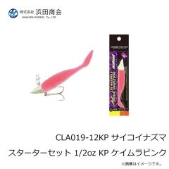ペン　バトル IV 4000