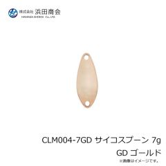 浜田商会　CLM004-5SL サイコスプーン 5g SL シルバー