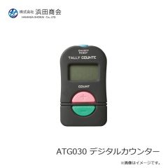 ラインシステム L4120F ロックゲーム FC 2lb