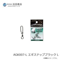 ラインシステム L4120F ロックゲーム FC 2lb