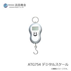 ラインシステム L4120F ロックゲーム FC 2lb