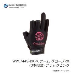 ラインシステム L4120F ロックゲーム FC 2lb