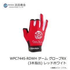 ラインシステム L4120F ロックゲーム FC 2lb