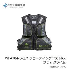 ラインシステム L4120F ロックゲーム FC 2lb