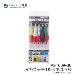 浜田商会　AST009-30 イカスッテ仕掛5本 3.0号