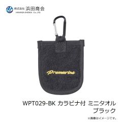 ラインシステム L4120F ロックゲーム FC 2lb