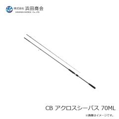 パームス TDX-30 ザ・ダックス 30g RZ-754 クリスタルシェイド